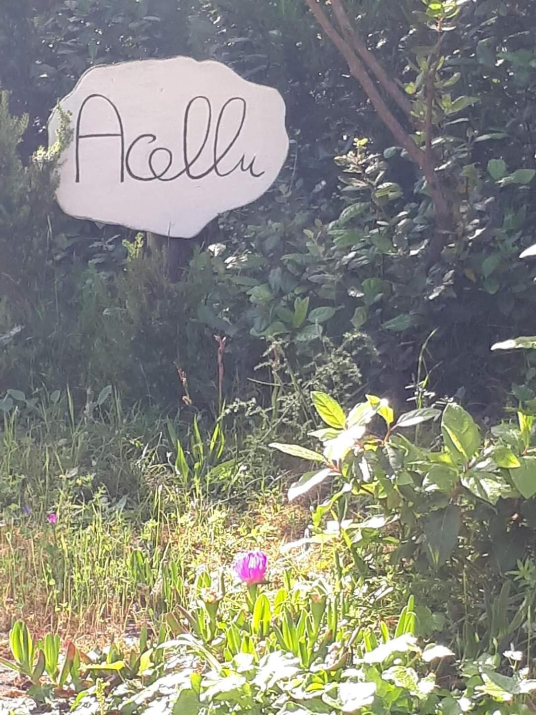 Gite Acellu Bonifacio  Exterior foto